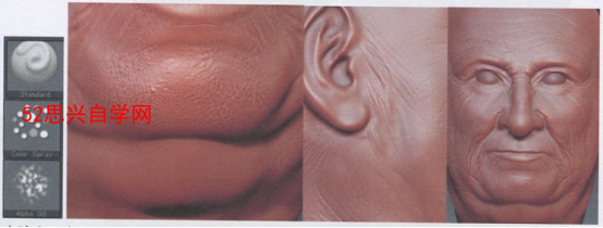 zbrush老人头部模型雕刻教程之绘制皮肤纹理3