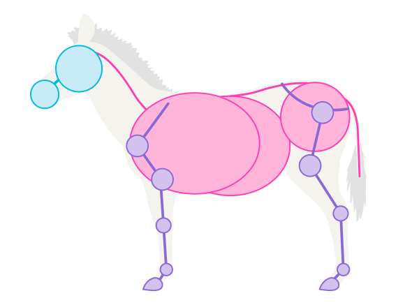 怎么画斑马最简单 斑马的简易画法教程