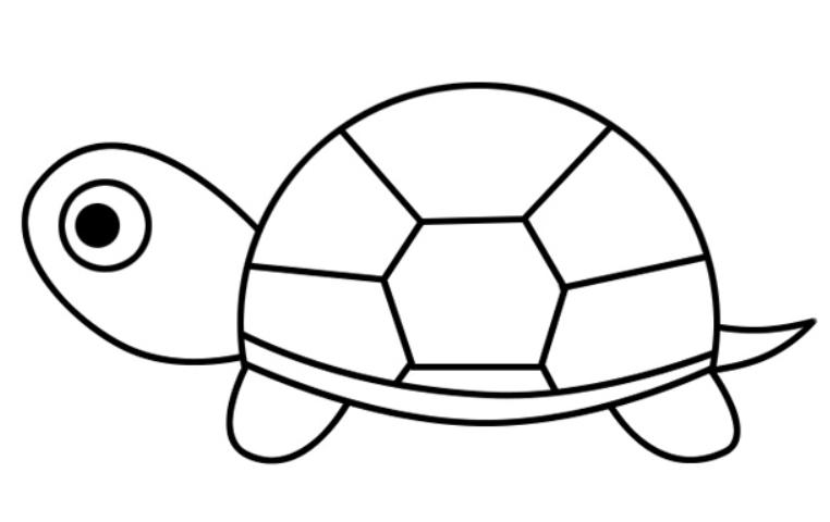 简笔的小乌龟怎么画 简笔画小乌龟的画法最简单