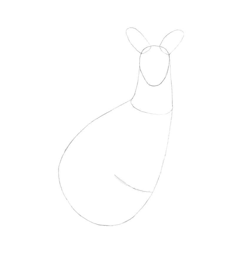 素描袋鼠怎么画简单 画袋鼠最简单的画法