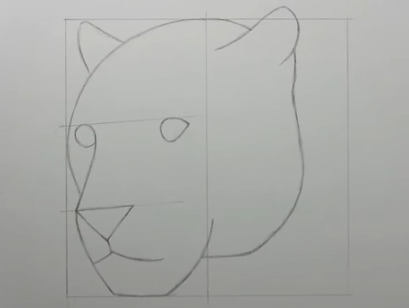 猎豹的头怎么画真实 猎豹头部的画法
