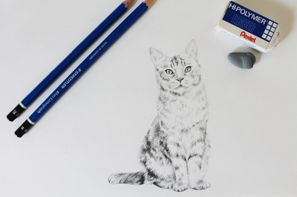 怎么画小花猫简单 画小花猫最简单的画法
