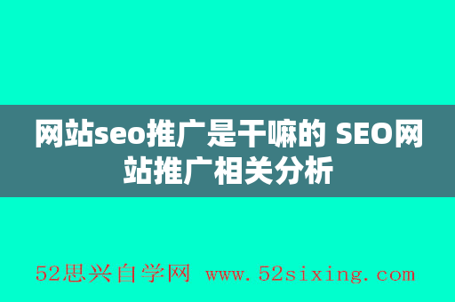 网站seo推广是干嘛的 SEO网站推广相关分析