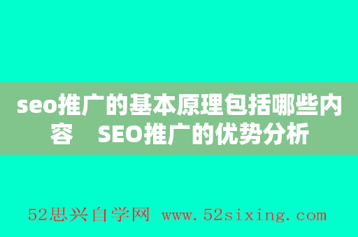 seo推广的基本原理包括哪些内容　SEO推广的优势分析