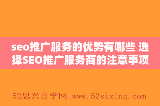 seo推广服务的优势有哪些 选择SEO推广服务商的注意事项