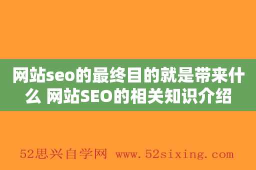 网站seo的最终目的就是带来什么 网站SEO的相关知识介绍