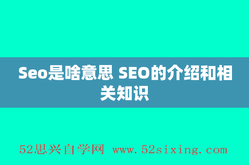 Seo是啥意思 SEO的介绍和相关知识
