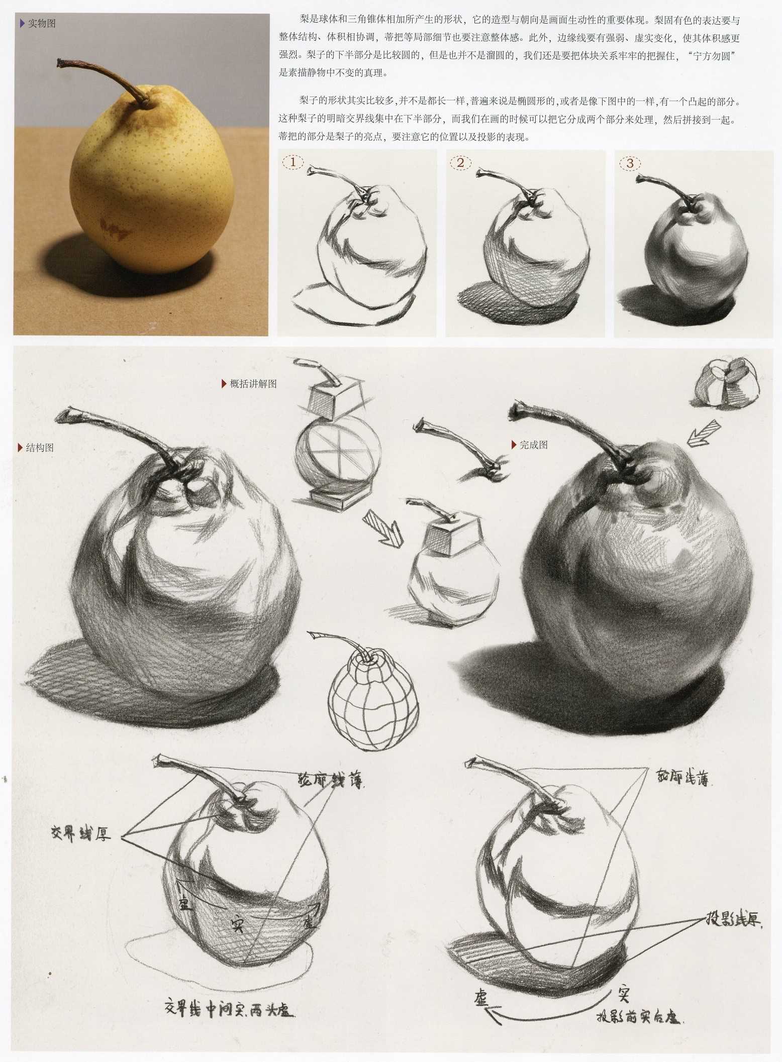 素描梨子的画法解析图 素描梨子的画法