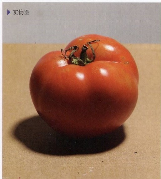 素描西红柿怎么画 素描西红柿的画法教程
