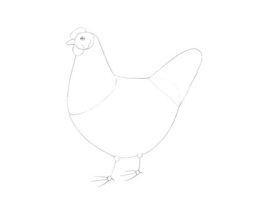 怎么画一只母鸡 画母鸡的最简单画法教程