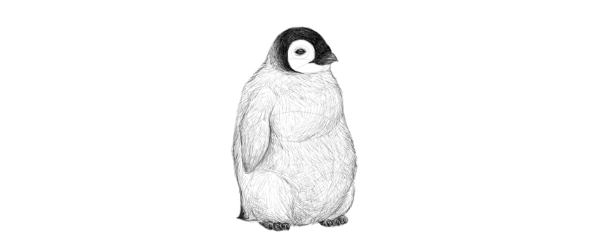 怎么画小企鹅简单 怎么画小企鹅一步一步教学